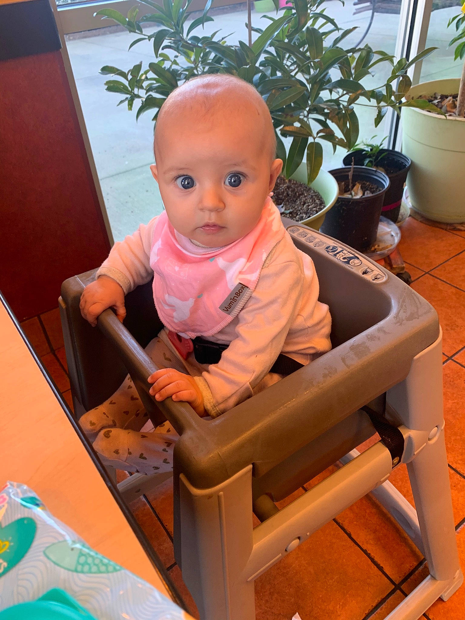 Bonnie joined the competition — help win amazing prizes! baby, chair, child, furniture, person, product, sitting, toddler