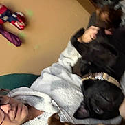 Kyle joined the competition — help win amazing prizes! accessories, animal, baby, blanket, bulldog, canine, dog, face, frenchbulldog, furniture, glasses, head, hound, indoors, person, pet, photography, portrait, puppy, sleeping