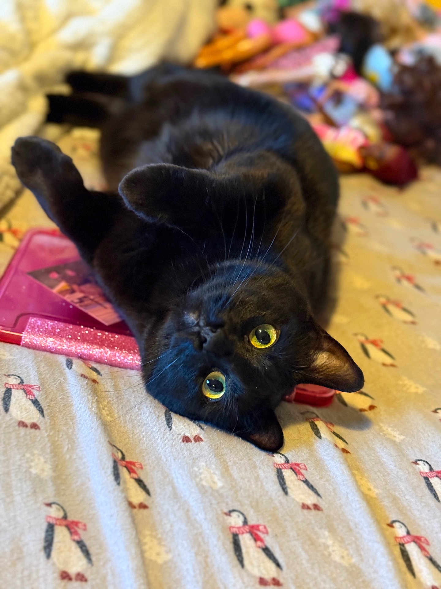 Panther joined the competition — help win amazing prizes! black_cat, cat, pet, animal, lying_down, blanket, penguin_pattern, bed, indoor, yellow_eyes, whiskers, fur, cute, cozy, toy, soft_focus, domestic_animal, playful, relaxed, close_up