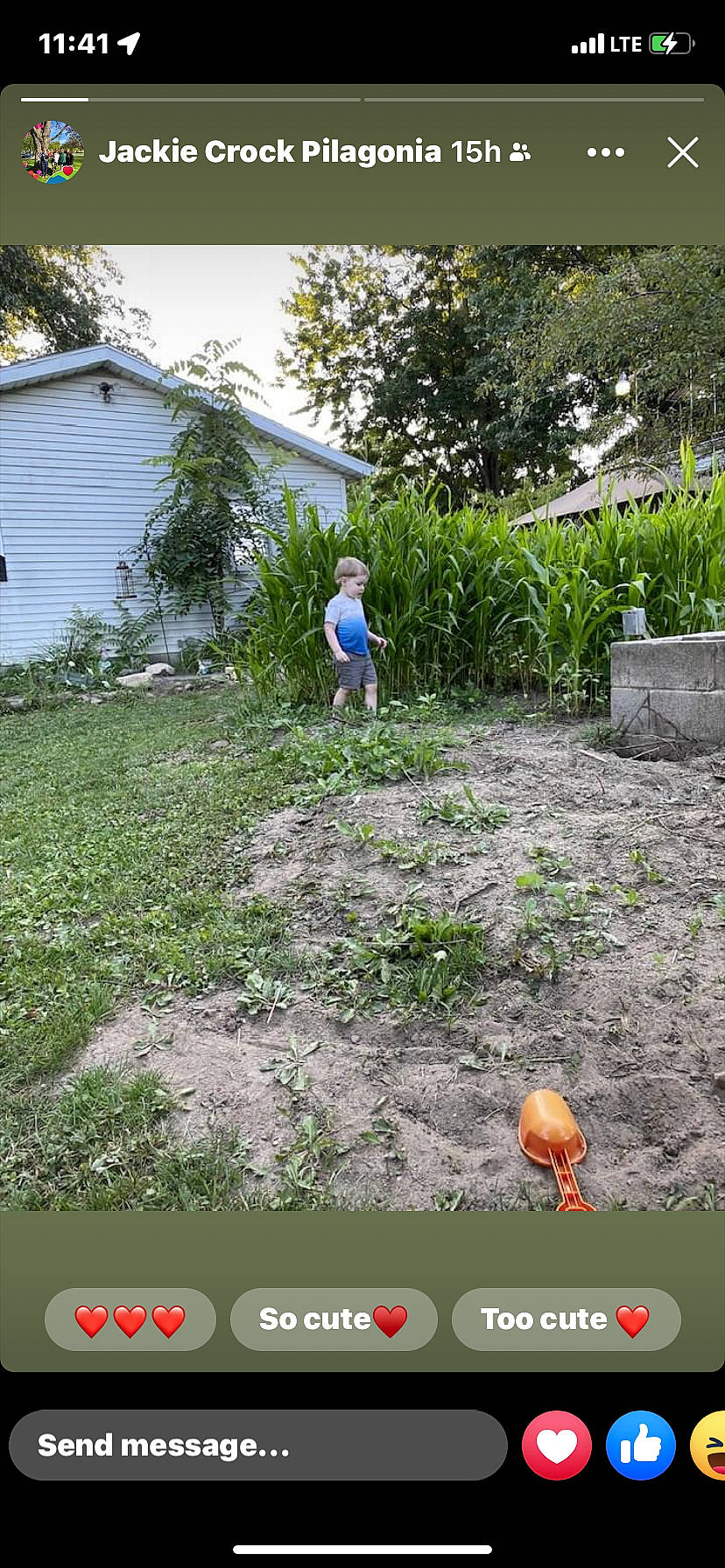 Mathew joined the competition — help win amazing prizes! adaptation, biome, font, grass, grass_family, groundcover, house, land_lot, landscape, lawn, leisure, nature, people_in_nature, person, plant, plant_community, property, rural_area, shrub, tree