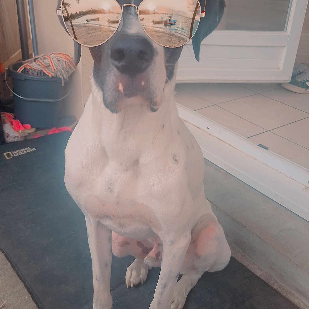 Ruben