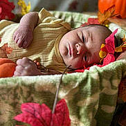 Bellmeny is registered to the contest to win money with this photo: baby, infant, blanket, autumn_leaves, pumpkin, basket, fall, cozy, soft, sleepy, portrait, closeup, child, indoors, seasonal, decor, cute, resting, nature, warm
