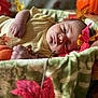 baby, infant, blanket, autumn_leaves, pumpkin, basket, fall, cozy, soft, sleepy, portrait, closeup, child, indoors, seasonal, decor, cute, resting, nature, warm