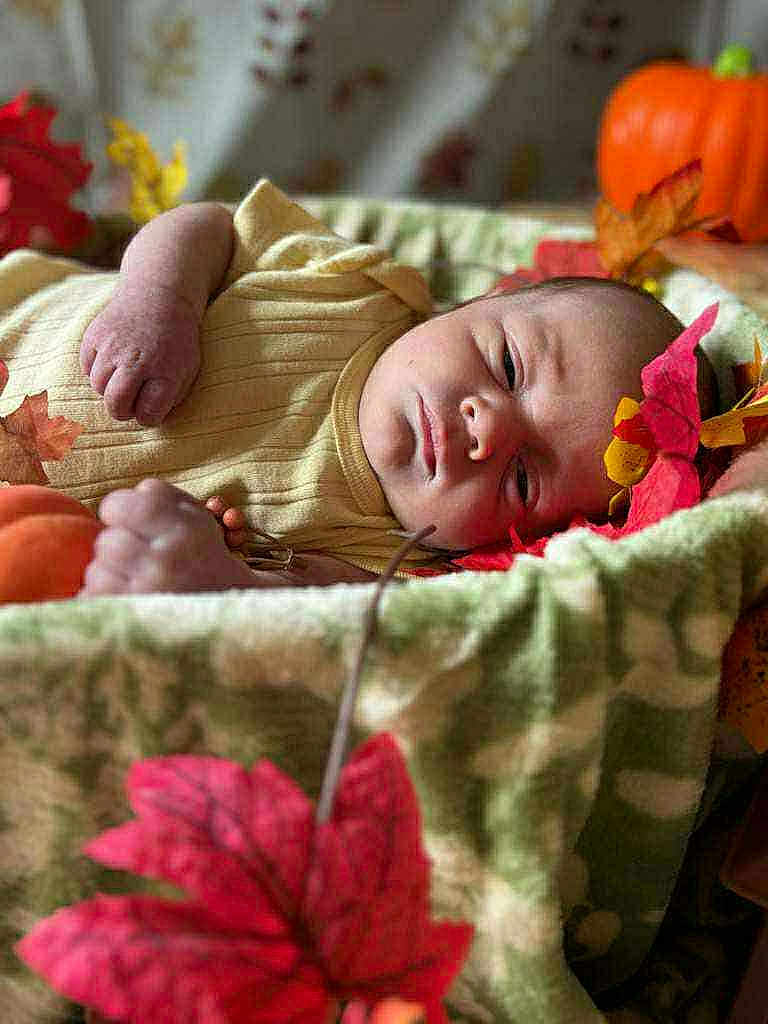 Bellmeny is registered to the contest to win money with this photo: baby, infant, blanket, autumn_leaves, pumpkin, basket, fall, cozy, soft, sleepy, portrait, closeup, child, indoors, seasonal, decor, cute, resting, nature, warm
