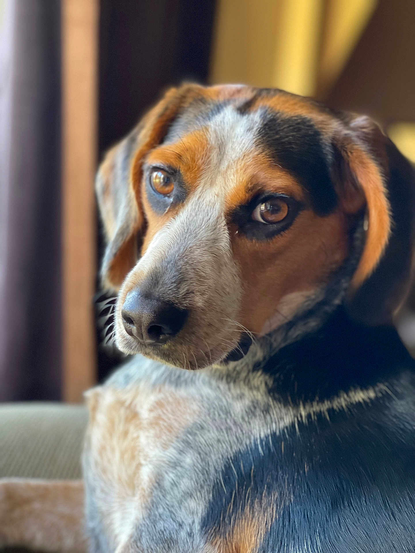 Sadie