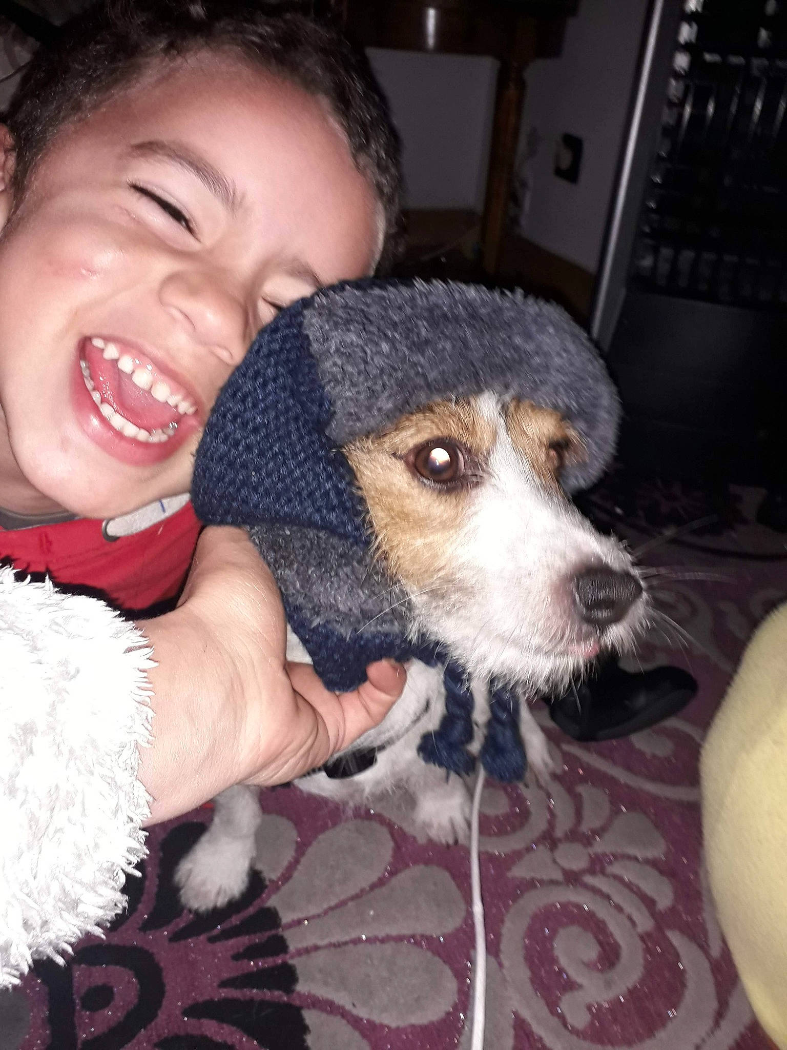 Matthew a rejoint le concours — aidez-le/la à gagner de superbes lots ! canidae, carnivore, companion_dog, dog, dog_breed, mammal, nose, person, puppy, puppy_love, smile