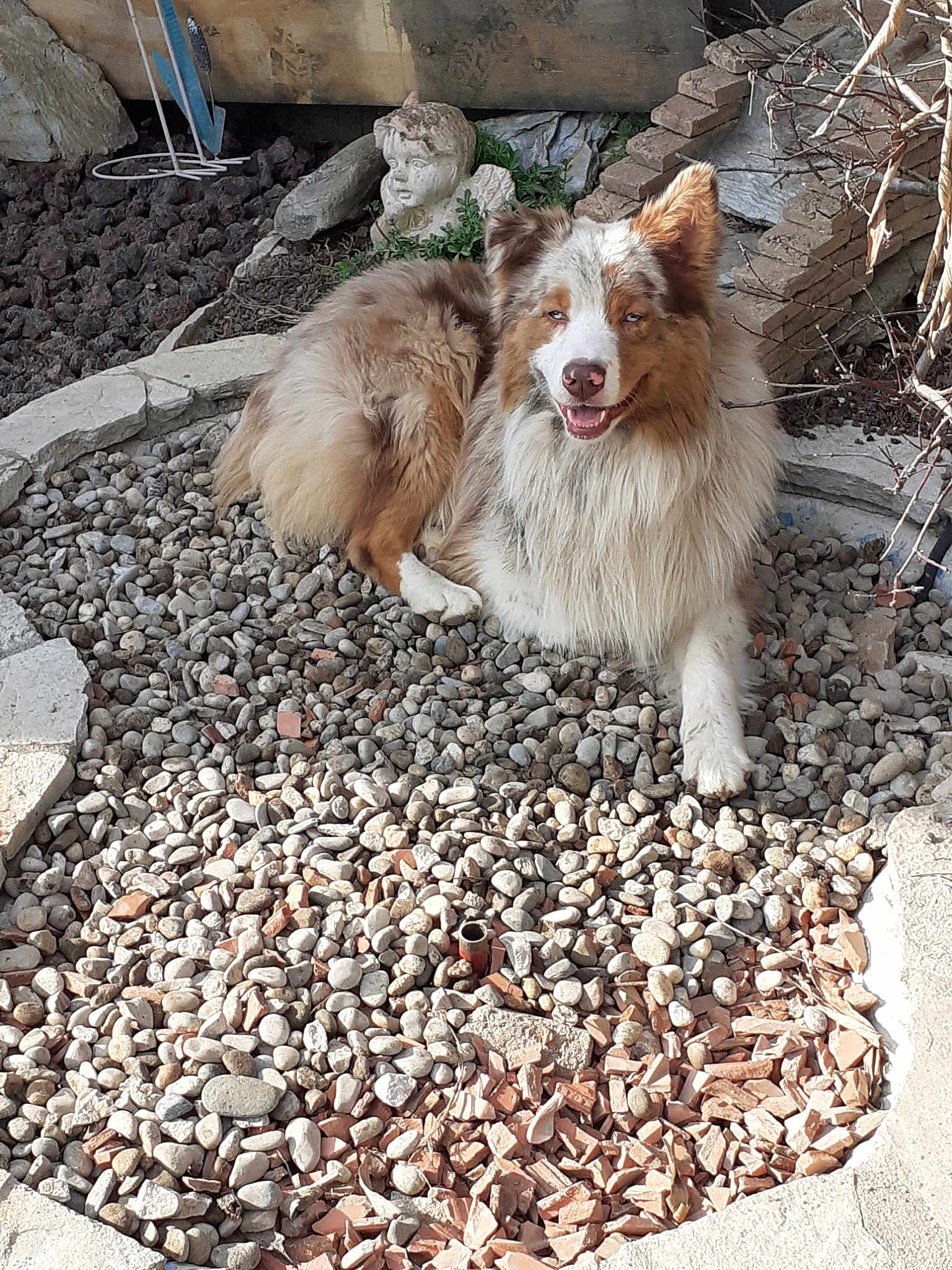 Athos