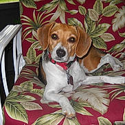 Hope is registered to the contest to win money with this photo: