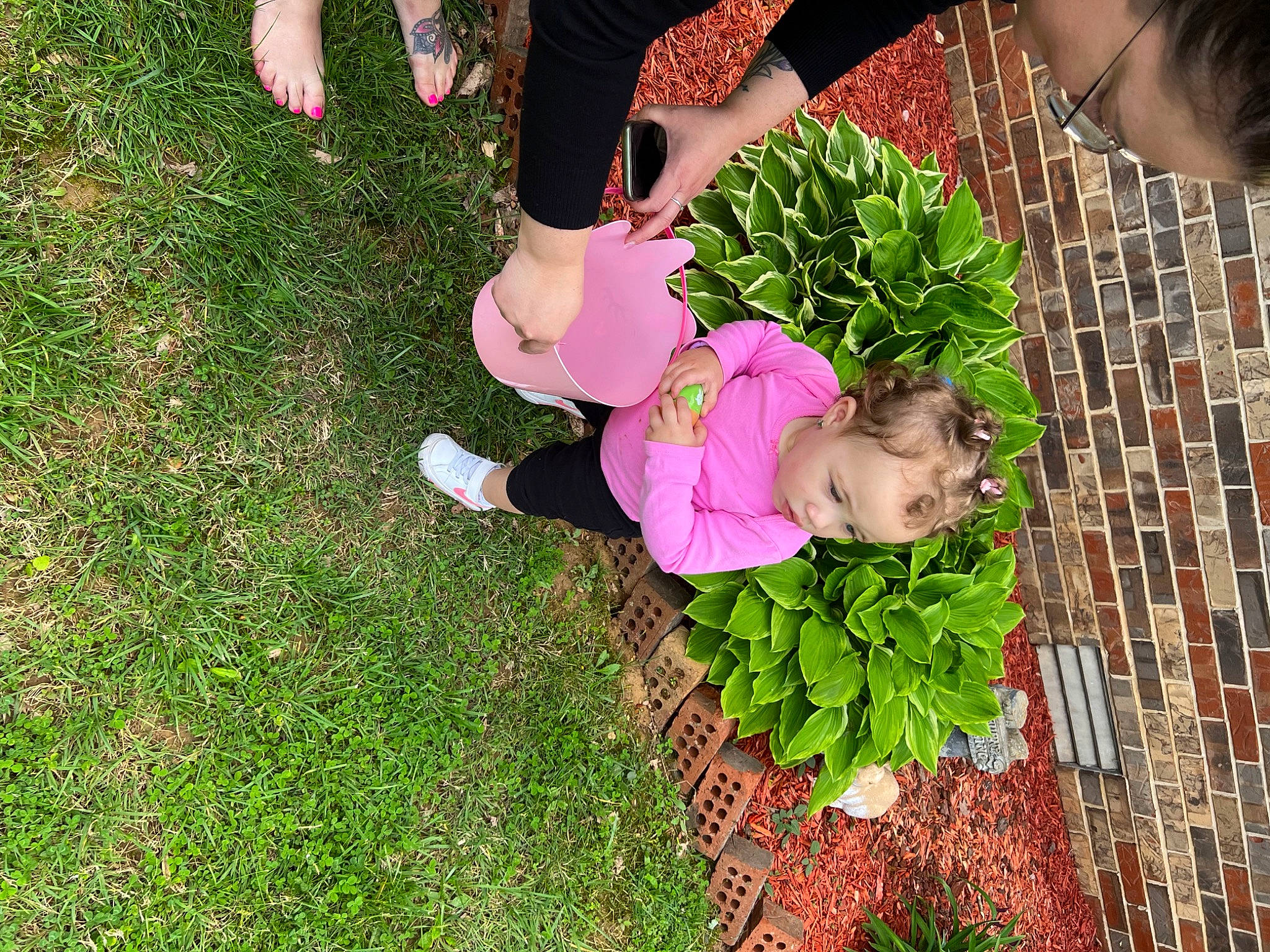Aleena joined the competition — help win amazing prizes! child, event, flower, foot, fun, grass, groundcover, happy, lawn, leg, leisure, organism, people_in_nature, person, petal, pink, plant, shoe, shorts, terrestrial_plant