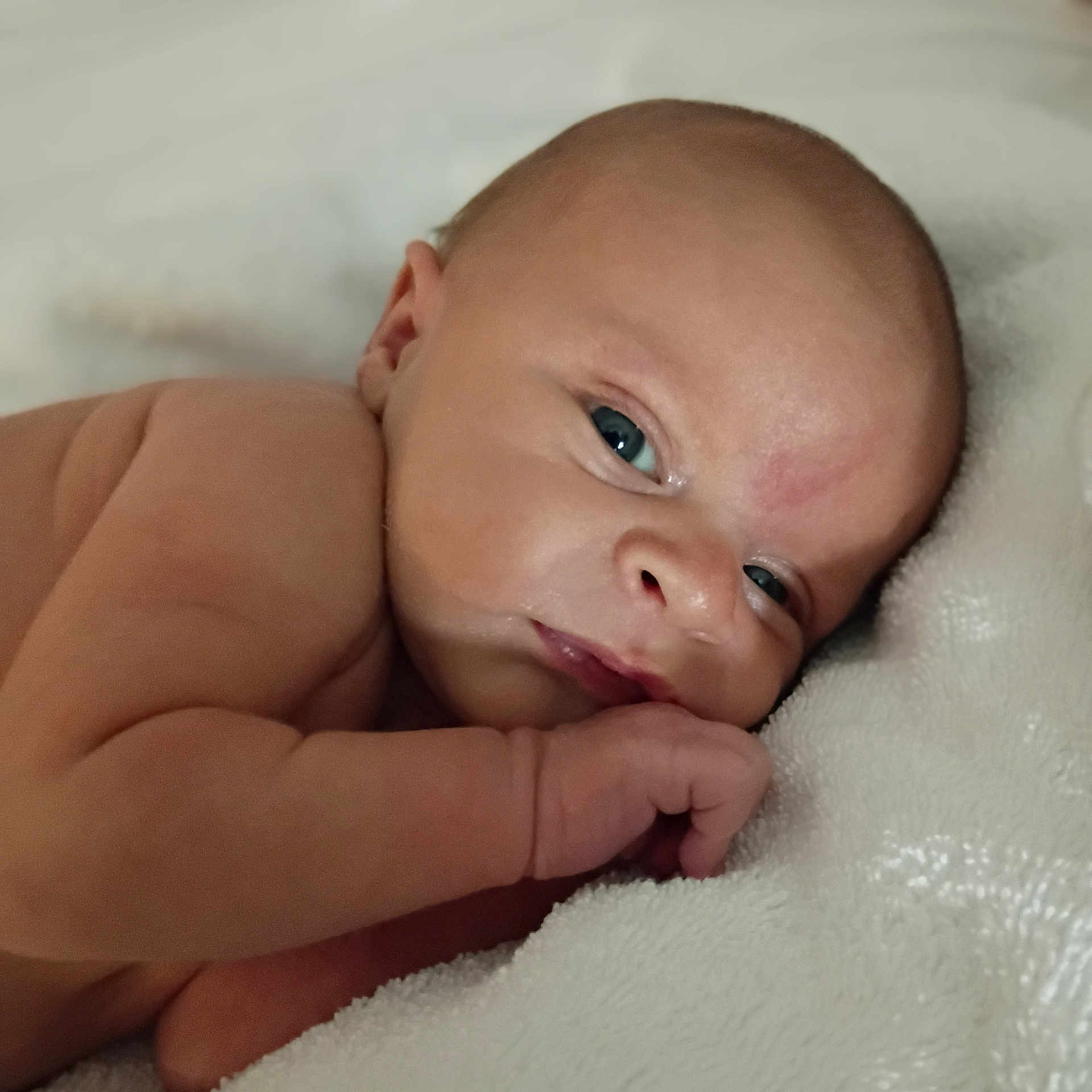 Charles joined the competition — help win amazing prizes! baby, blanket, child, closeup, cute, expression, face, hand, human, indoors, infant, lying_down, newborn, newborn_baby, peaceful, portrait, resting, skin, sleepy, soft