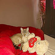 Oxana a rejoint le concours — aidez-le/la à gagner de superbes lots ! cat, tabby_cat, teddy_bear, red_blanket, bed, indoor, stuffed_animal, heart_shaped_pillow, love_message, vase, flowers, curtains, flash_reflection, cozy, pet, animal, feline, soft_toy, home, relaxing