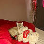 cat, tabby_cat, teddy_bear, red_blanket, bed, indoor, stuffed_animal, heart_shaped_pillow, love_message, vase, flowers, curtains, flash_reflection, cozy, pet, animal, feline, soft_toy, home, relaxing