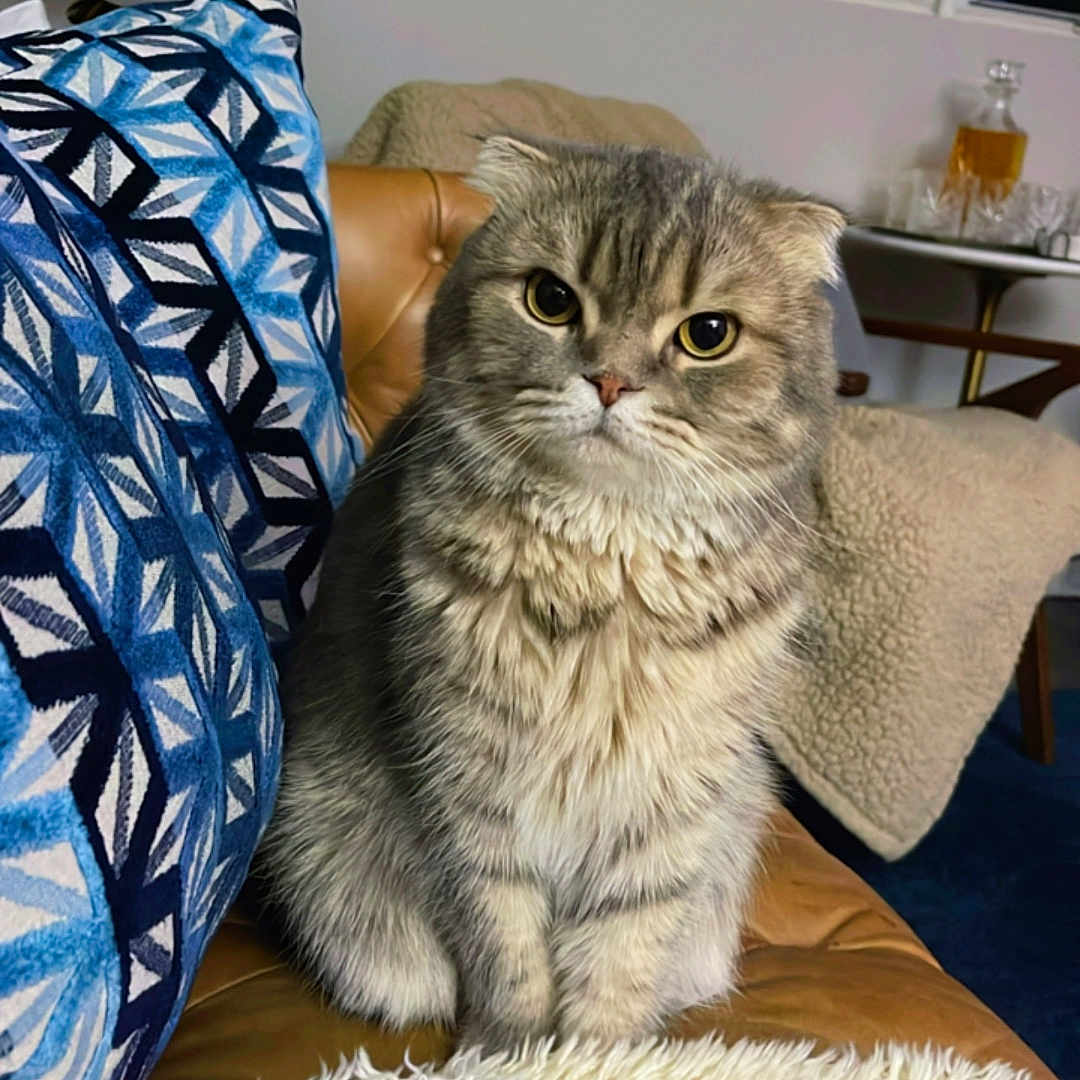 Leo