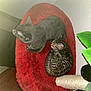 cat, kitten, sleeping, red_cat_bed, gray_cat, striped_cat, feline, pet, cozy, indoor, scratching_post, curled_up, resting, fur, animal, cute, domestic_cat, quiet, corner, soft_furniture