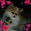 Diane A. B.