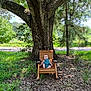 baby, child, rocking_chair, tree, outdoor, grass, leaves, sunlight, nature, wood, greenery, playful, tongue, small_chair, person, summer, shade, trunk, forest, peaceful