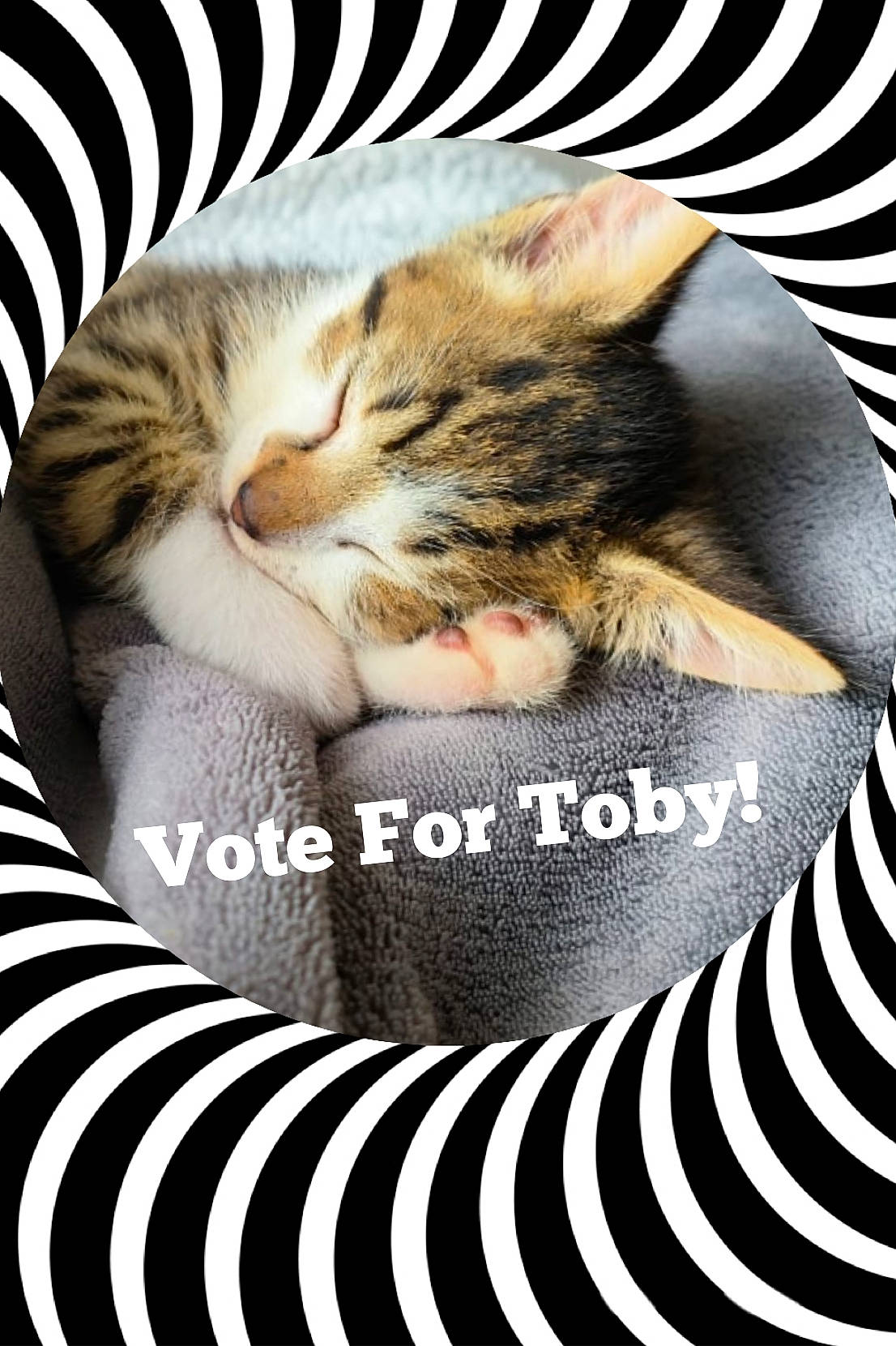 Toby