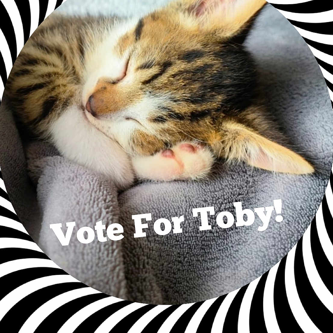 Toby