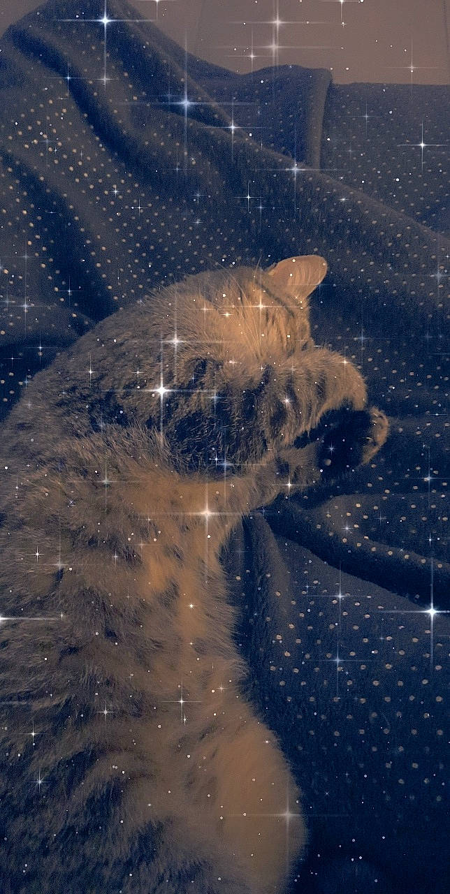 Halie participe au concours pour gagner de l'argent avec cette photo : art, astronomical_object, circle, cloud, darkness, electric_blue, freezing, glass, liquid, marine_mammal, pattern, reflection, sky, snout, space, tail, transparent_material, water, wildlife, wing