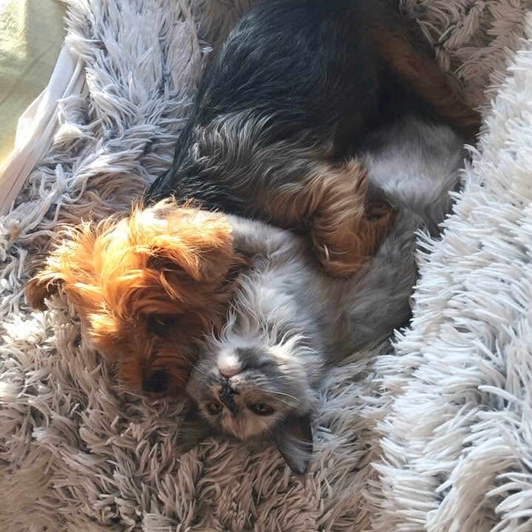 Murphy