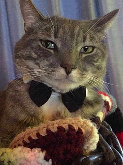 Einstein