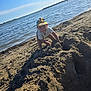 Shelby a rejoint le concours — aidez-le/la à gagner de superbes lots ! child, toddler, sand, beach, water, cap, sunny, outdoor, play, nature, shore, sky, recreation, summer, holiday, fun, sandcastle, person, coast, daylight