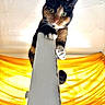 cat, calico_cat, curious, perched, post, yellow_background, indoor, fur, whiskers, paws, claws, wide_eyes, playful, adventurous, closeup, animal, pet, feline, bright, colorful