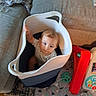 baby, basket, blond_hair, blue_eyes, child, couch, curious, cushions, dinosaur_pattern, face, green_ball, home, indoors, infant, laundry_basket, play_mat, portrait, red_toy, sitting, toys