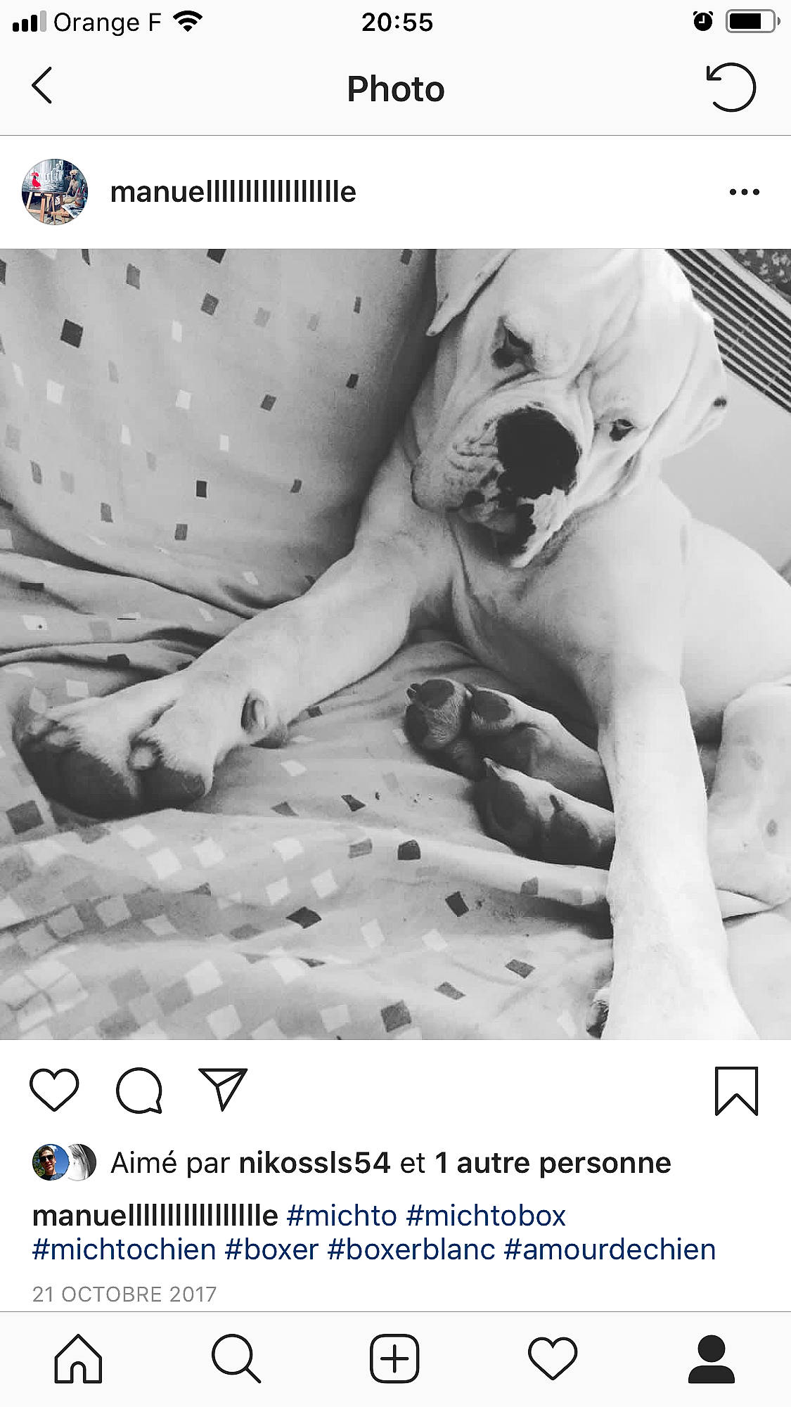 Michto a rejoint le concours — aidez-le/la à gagner de superbes lots ! black_and_white, canidae, font, non_sporting_group, photo_caption, photography