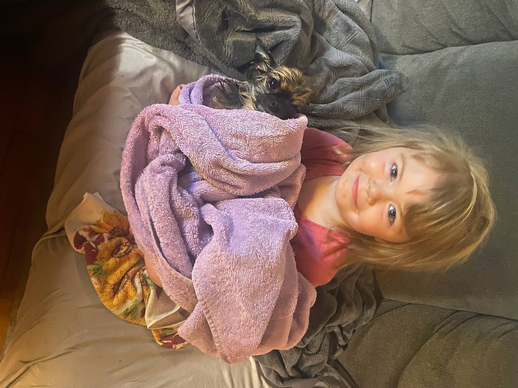 Brownie is registered to the contest to win money with this photo: brown_hair, child, comfort, fashion_accessory, fur, head, iris, linens, lip, nap, neck, pattern, portrait_photography, sitting, skin, sleep, thread, tree, wool, woolen