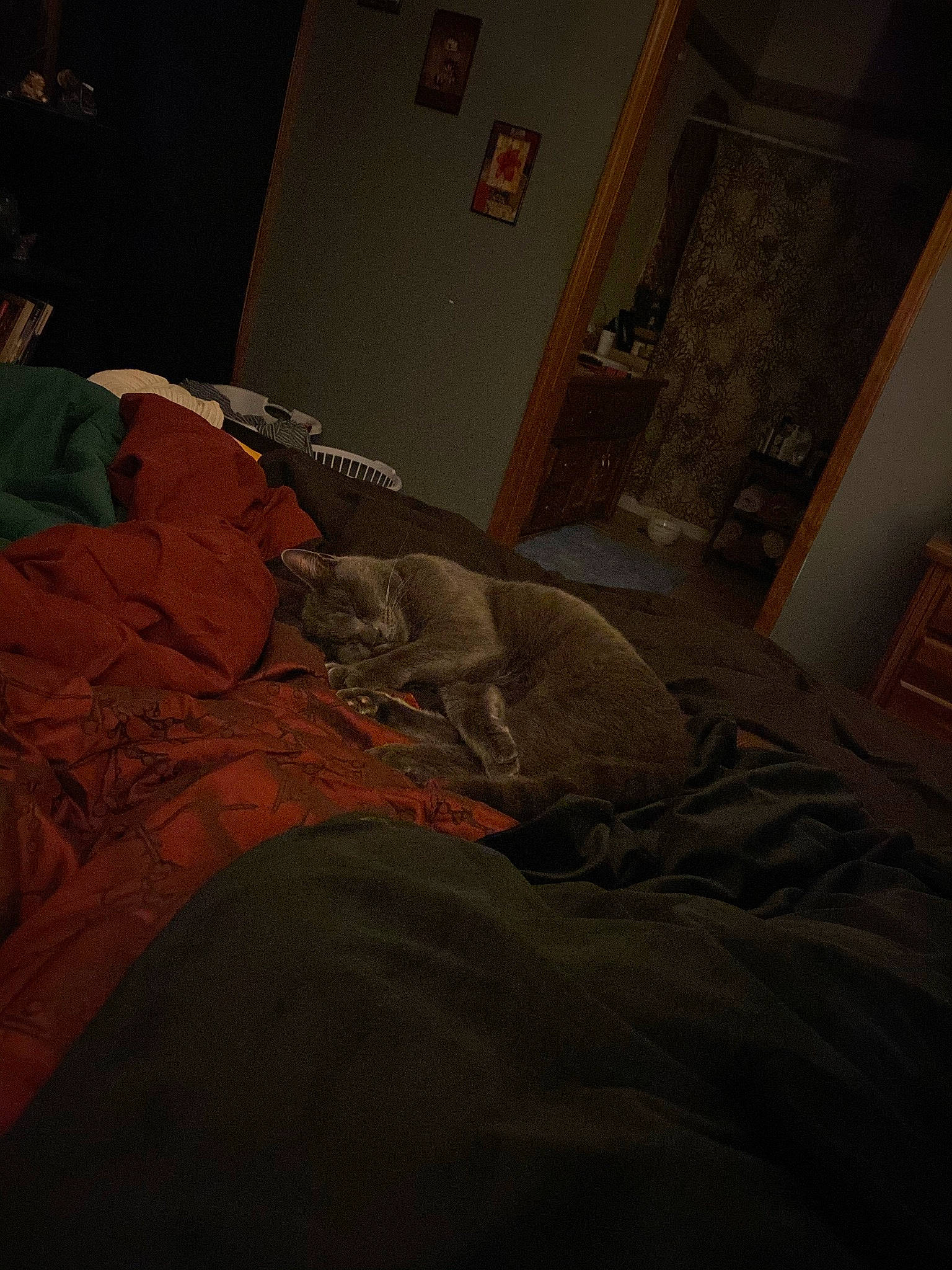 Bubbles joined the competition — help win amazing prizes! bed, bed_sheet, bedding, bedroom, chair, comfort, darkness, flesh, flooring, furniture, grey, hardwood, human_leg, lighting_accessory, linens, picture_frame, pillow, plaster, room, wood