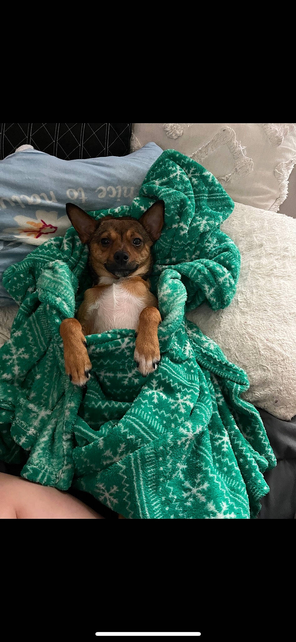Pip