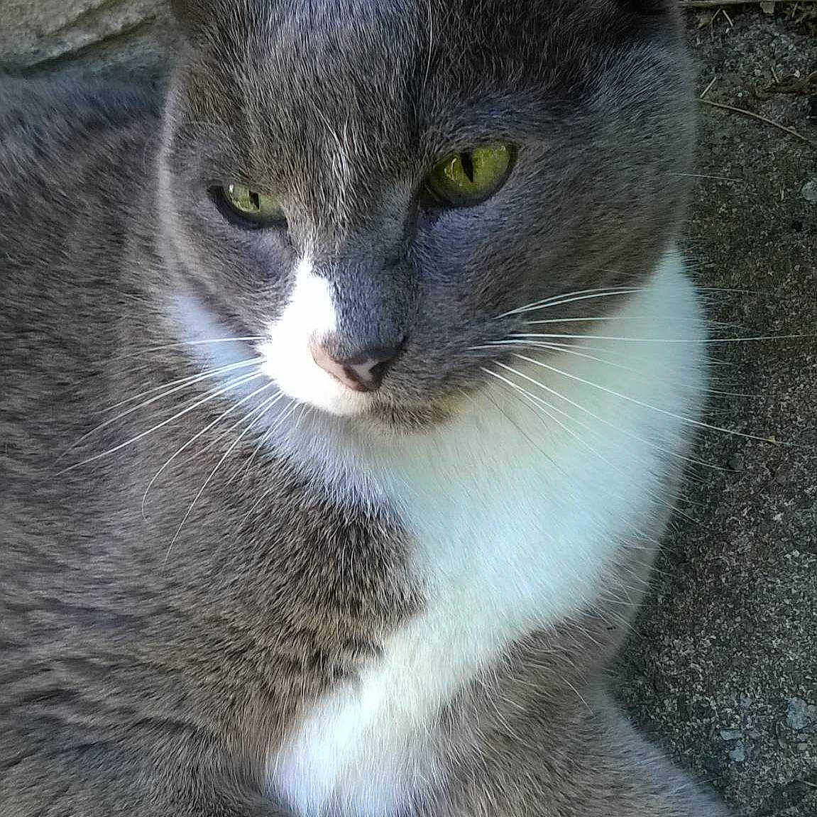Cloudy is registered to the contest to win money with this photo: