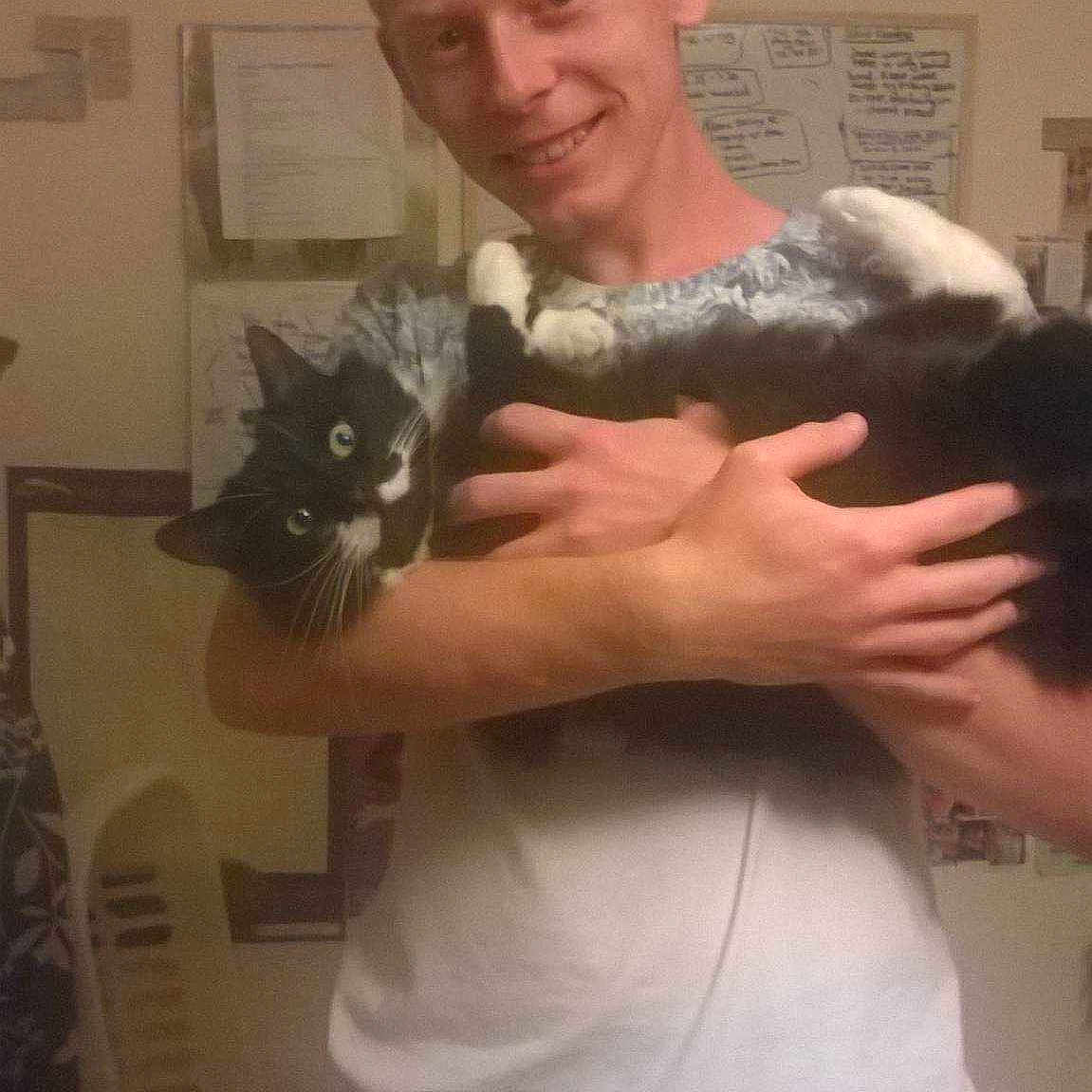 Pom
