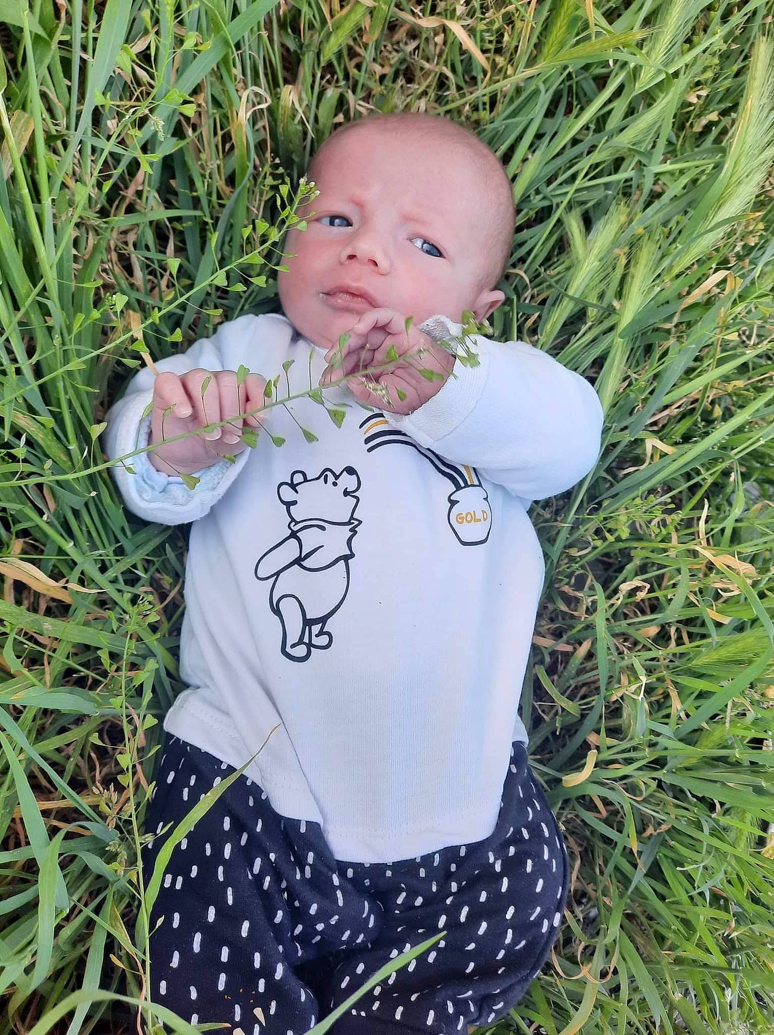 Cleyton participe au concours pour gagner de l'argent avec cette photo : baby, baby_products, baby_toddler_clothing, child, fur, grass, grassland, happy, headgear, leaf, outerwear, pattern, people_in_nature, person, plant, portrait_photography, prairie, sitting, sleeve, toddler