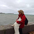 Sylvie C.