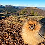 dog, pomeranian, fluffy, animal, pet, outdoor, mountain, landscape, sky, nature, rocky_ground, sunlight, leash, curious, small_dog, brown_fur, scenery, daylight, walking, grass