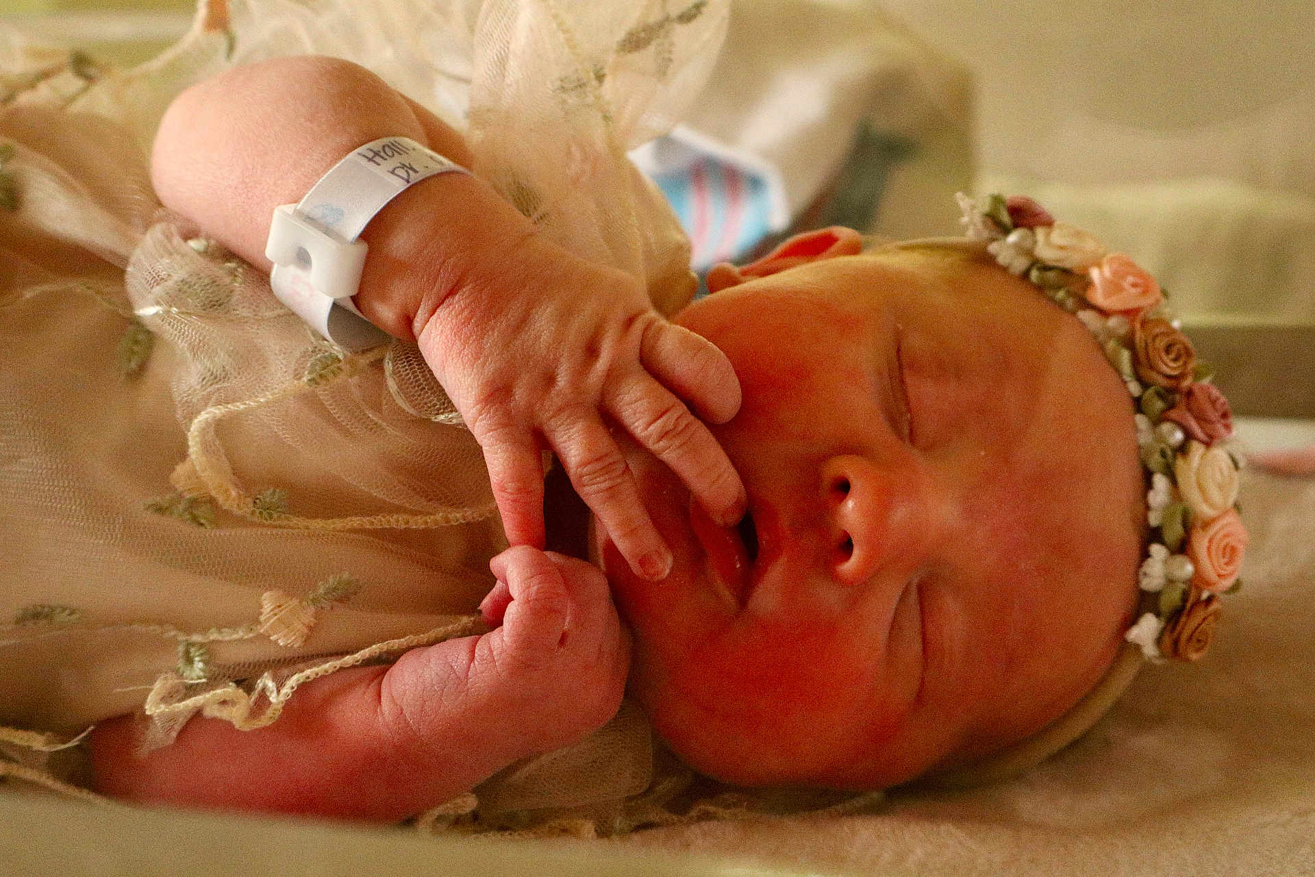Olivia joined the competition — help win amazing prizes! baby, child, closeup, cute, embroidery, fabric, face, floral, hand, headband, hospital_bracelet, infant, newborn, peaceful, portrait, resting, skin, sleeping, soft, tiny_fingers