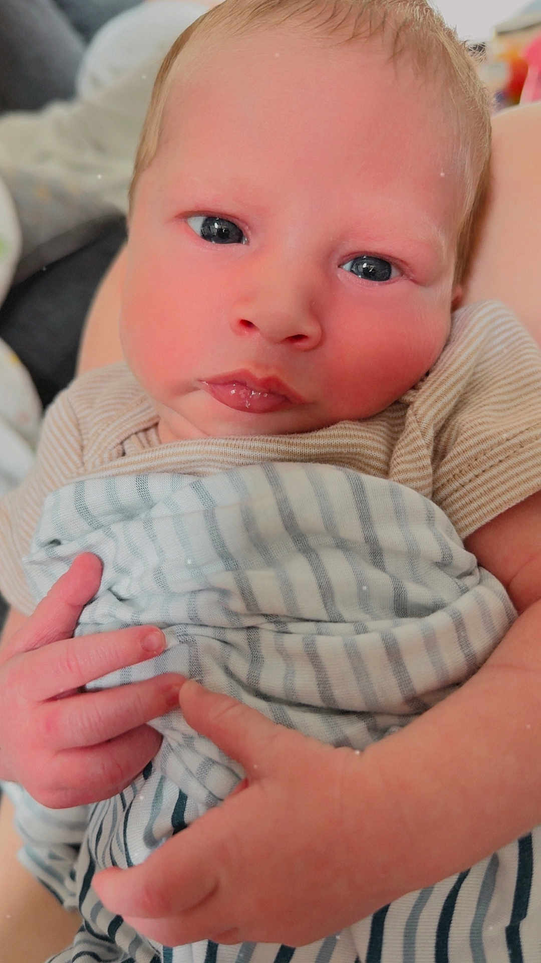 Gregory is registered to the contest to win money with this photo: baby, newborn, infant, face, hands, blanket, striped, skin, cute, closeup, person, young, child, soft, expression, human, portrait, sleepwear, wrapped, newborn_baby