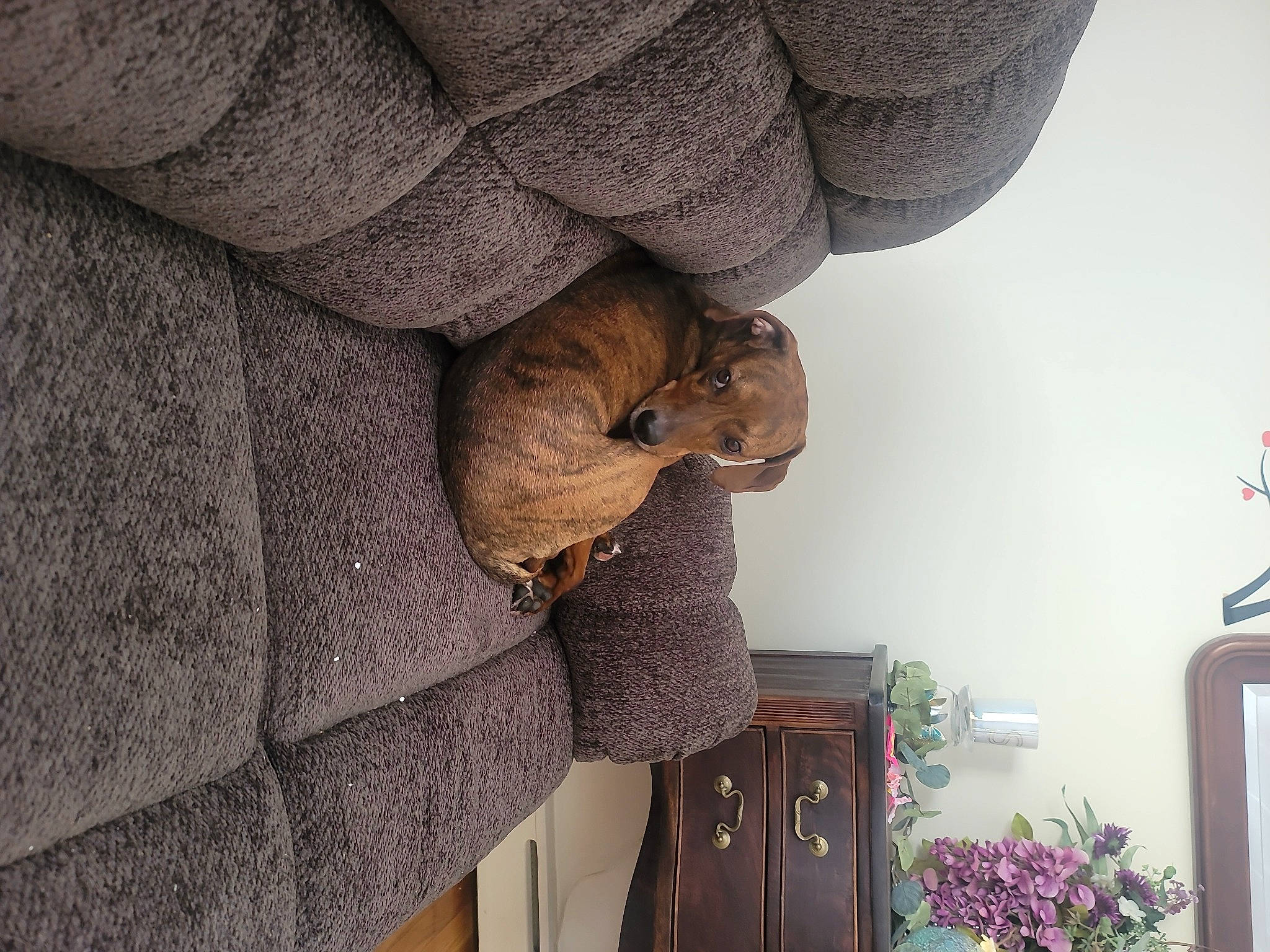 Prettys joined the competition — help win amazing prizes! art, cabinetry, chest, chest_of_drawers, comfort, cupboard, curtain, drawer, flooring, fur, grey, houseplant, plant, room, sculpture, statue, textile, visual_arts, wood, wool