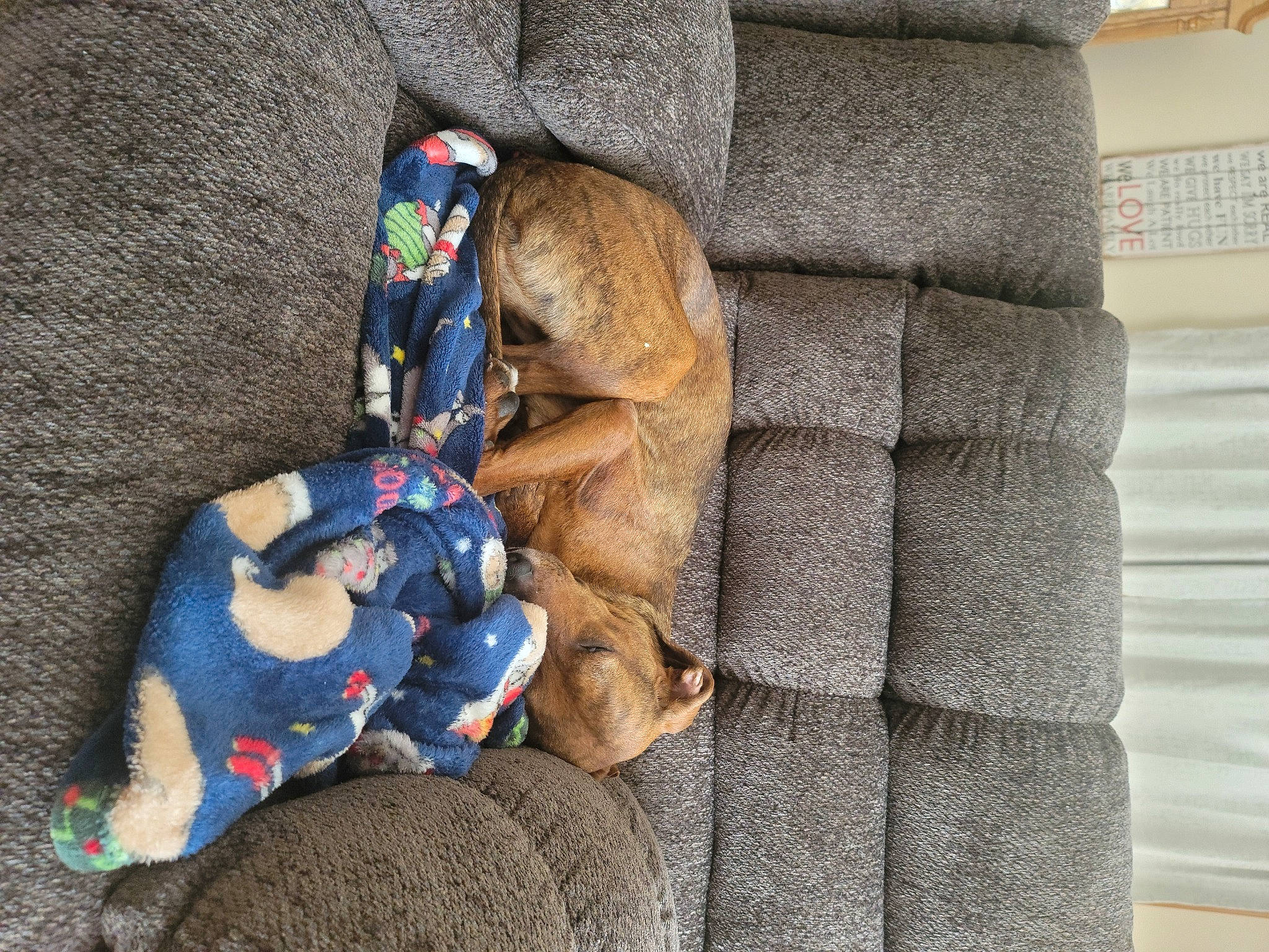 Prettys joined the competition — help win amazing prizes! canidae, comfort, doll, electric_blue, fawn, fur, human_leg, linens, musical_instrument, nap, pattern, plush, rock, sitting, sleep, stuffed_toy, teddy_bear, toy, wood, wool