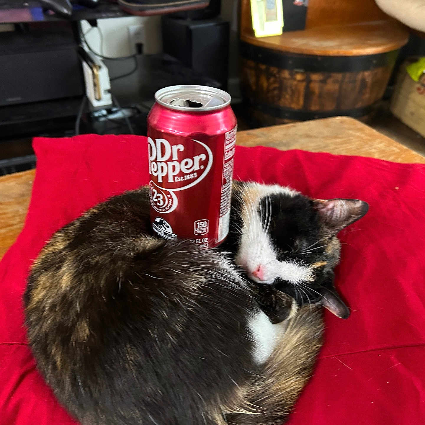 Patches is registered to the contest to win money with this photo: balance, calico, can, cat, cozy, curled_up, cute, domestic_animal, dr_pepper_can, drink, feline, fur, household, indoor, pet, red_cushion, relaxed, resting, sleeping, wooden_table