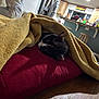 Patches is registered to the contest to win money with this photo: black_and_white_cat, blanket, cat, clutter, counter, cozy, domestic, furniture, home, indoor, kitchen, pet, quiet, red_cushion, relaxation, resting, sleeping, table, wooden_cabinets, yellow_blanket