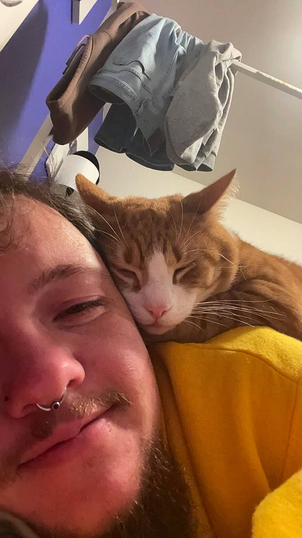 Chester joined the competition — help win amazing prizes! carnivore, cat, child, comfort, domestic_short_haired_cat, ear, eyelash, eyewear, fawn, felidae, fur, gesture, happy, love, nail, nose, selfie, small_to_medium_sized_cats, smile, whiskers