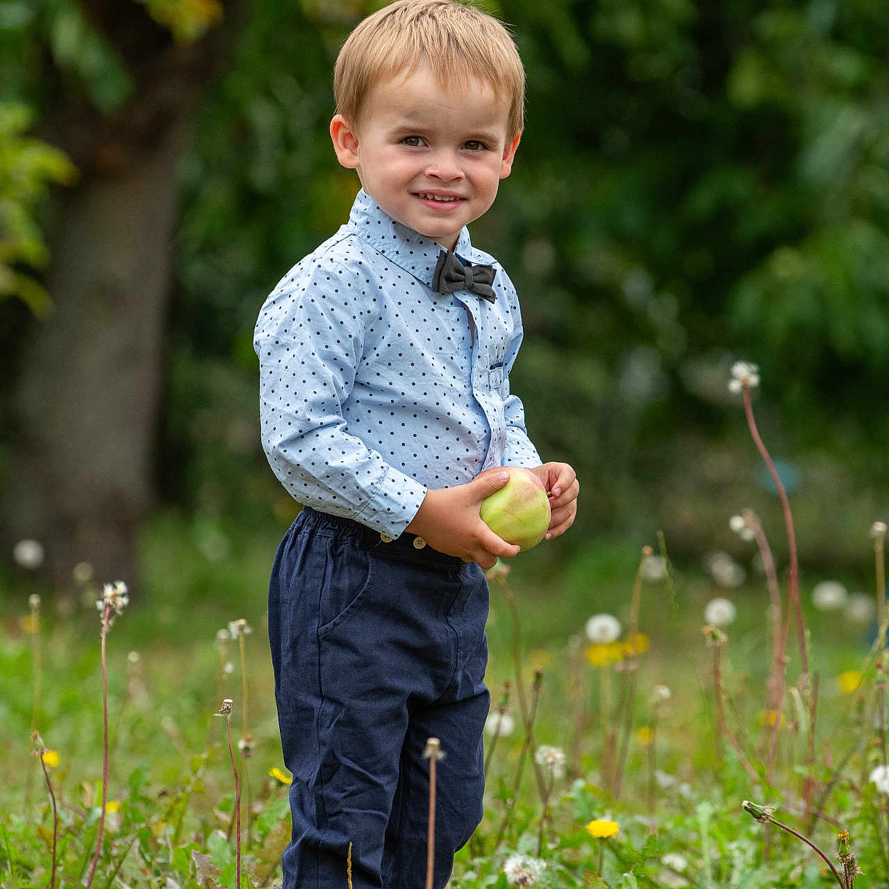 Raphaël a rejoint le concours — aidez-le/la à gagner de superbes lots ! apple, bow_tie, boy, casual, child, cute, dandelions, field, grass, greenery, happy, nature, outdoor, pants, person, polka_dot_shirt, portrait, smile, standing, young
