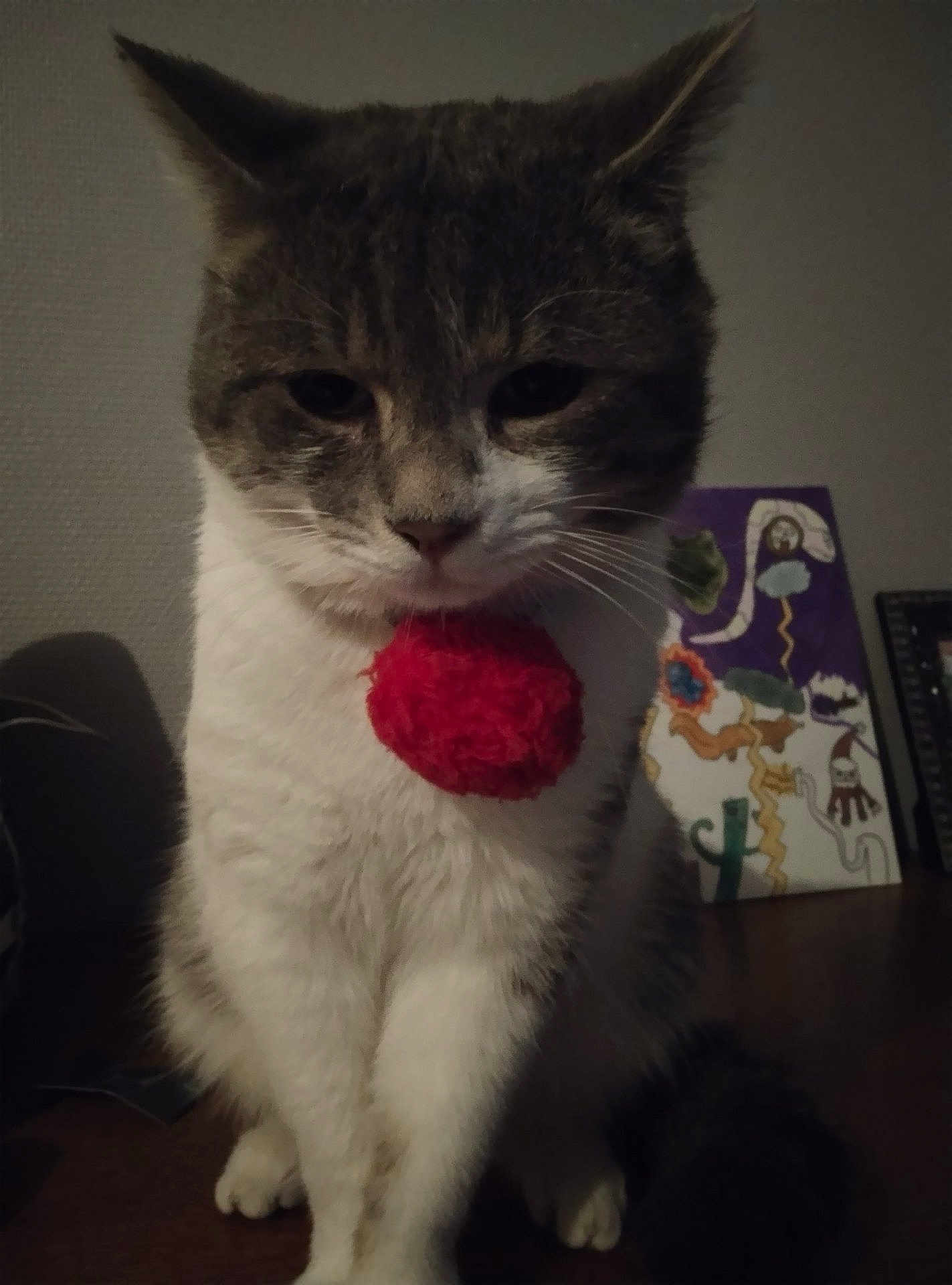 Nuage a rejoint le concours — aidez-le/la à gagner de superbes lots ! cat, pet, animal, white_fur, gray_fur, pom_pom, indoor, table, artwork, painting, whiskers, ears, face, fur, sitting, domestic_cat, feline, quiet, shadow, closeup