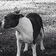 Kala is registered to the contest to win money with this photo: