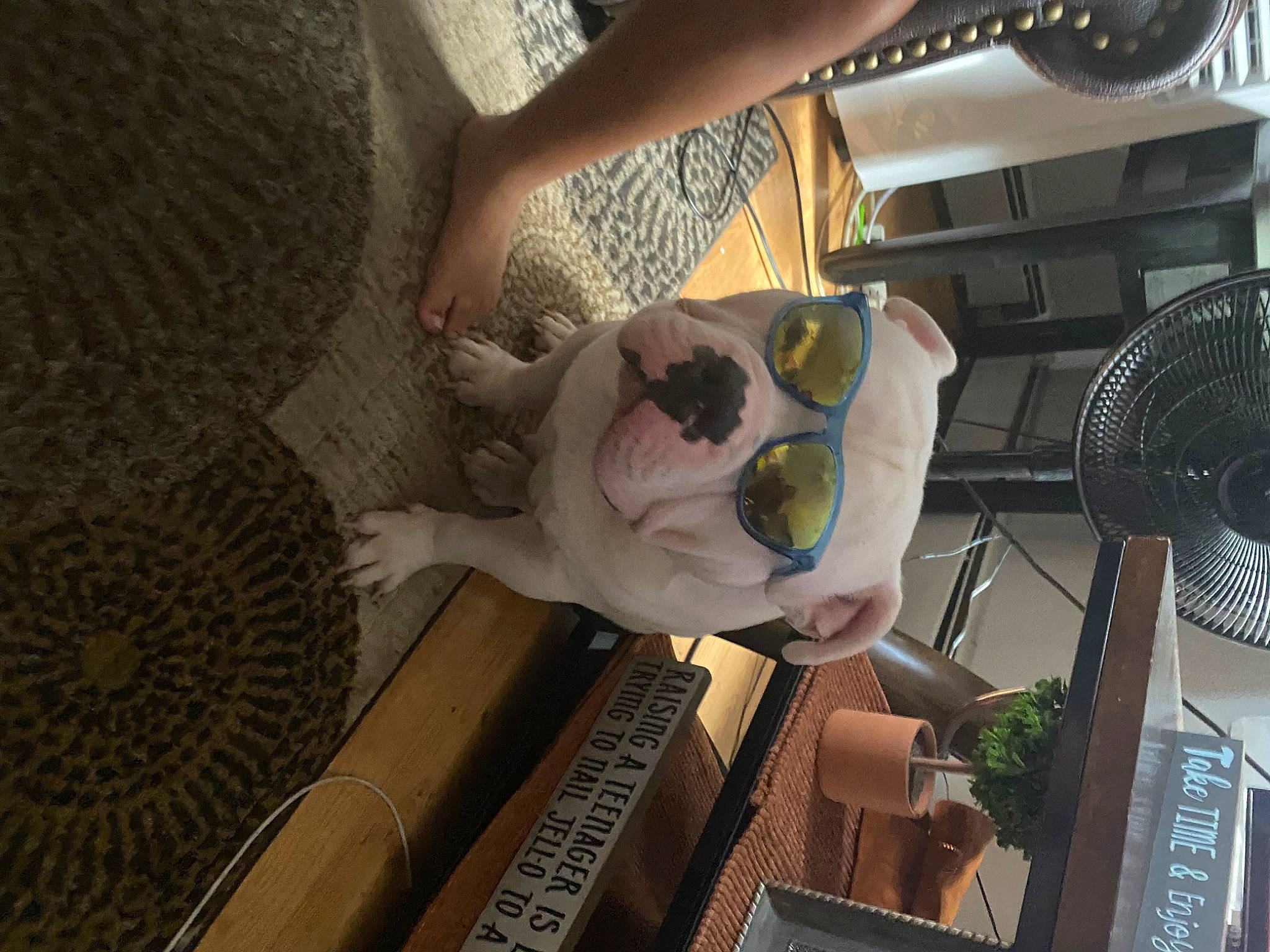 Ali joined the competition — help win amazing prizes! flooring, home_appliance, human_leg, machine, mechanical_fan, rim, room, thigh, toy, wood