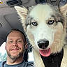 Jade is registered to the contest to win money with this photo: man, dog, husky, car_interior, selfie, blue_eyes, tongue_out, smile, beard, seat, window, harness, close_up, pet, animal, companion, happy, indoors, friendship, portrait