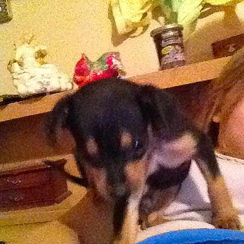 Emmit is registered to the contest to win money with this photo: